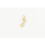 Zlatý přívěšek, kytara.